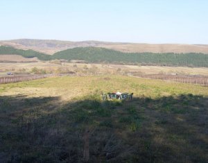 Terrain à vendre dans Gilau