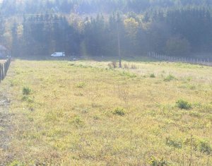 Terrain à vendre dans Gilau