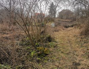 Telek eladó on Gheorghieni