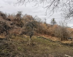 Telek eladó on Gheorghieni