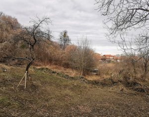 Telek eladó on Gheorghieni