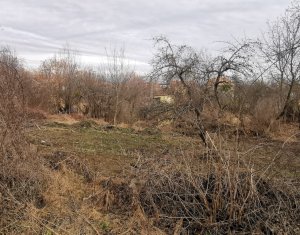 Telek eladó on Gheorghieni