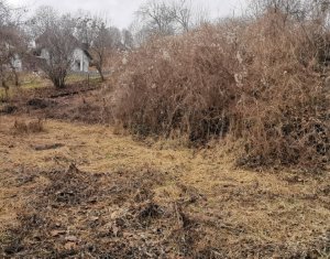 Ház 2 szobák eladó on Gheorghieni