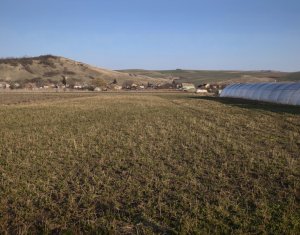 Teren industrial 3500mp, Apahida