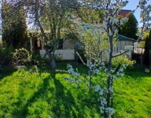 Maison 5 chambres à vendre dans Ardeova, zone Centru