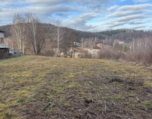 Land for sale in Feleacu
