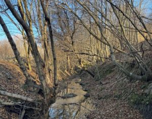 Land for sale in Feleacu