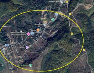 Terrain à vendre dans Salicea