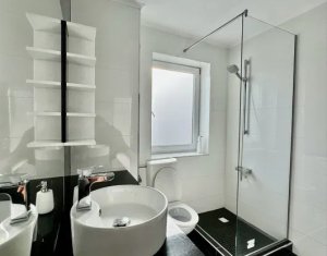 Apartment 2 rooms for rent in Cluj-napoca, zone Dambul Rotund
