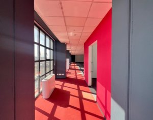 Spatiu birou 430mp open space, centru McDonalds