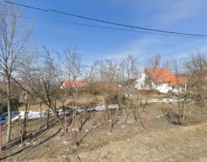 , 920m2 dans Salicea