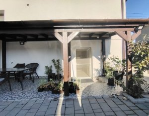 Maison 3 chambres à vendre dans Chinteni