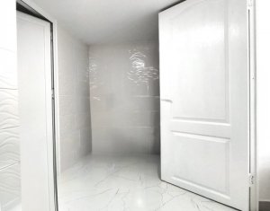 Maison 3 chambres à vendre dans Chinteni