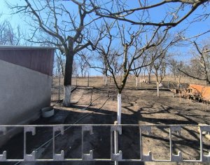 Ház 4 szobák eladó on Cluj-napoca, Zóna Iris