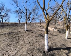 Ház 4 szobák eladó on Cluj-napoca, Zóna Iris