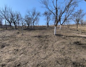 Ház 4 szobák eladó on Cluj-napoca, Zóna Iris