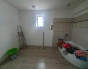 Maison 6 chambres à vendre dans Cluj-napoca, zone Iris