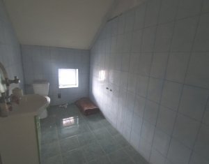 Maison 6 chambres à vendre dans Cluj-napoca, zone Iris