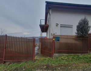 Maison 6 chambres à vendre dans Cluj-napoca, zone Iris