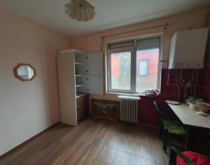 Maison 6 chambres à vendre dans Cluj-napoca, zone Iris