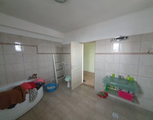 Maison 6 chambres à vendre dans Cluj-napoca, zone Iris