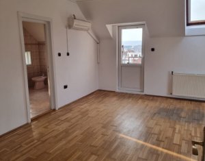 Maison 14 chambres à louer dans Cluj-napoca, zone Zorilor