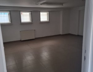Maison 14 chambres à louer dans Cluj-napoca, zone Zorilor