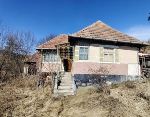 Terrain à vendre dans Micesti, zone Centru