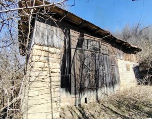 Terrain à vendre dans Micesti, zone Centru