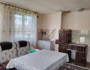 Maison 2 chambres à vendre dans Cluj-napoca