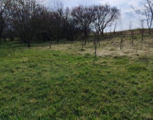 Maison 2 chambres à vendre dans Cluj-napoca