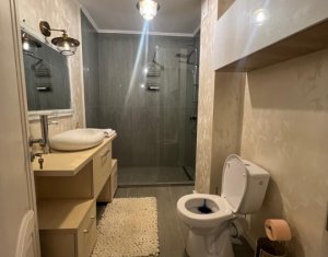 Appartement 2 chambres à louer dans Cluj-napoca, zone Dambul Rotund