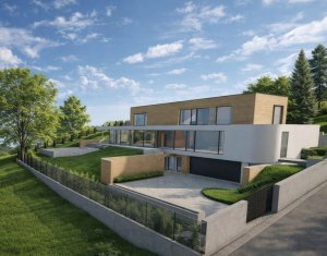 Terrain à vendre dans Salicea