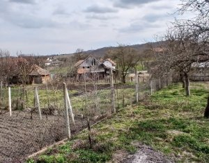 Ház 3 szobák eladó on Moldovenesti
