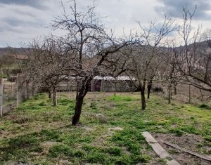 Ház 3 szobák eladó on Moldovenesti