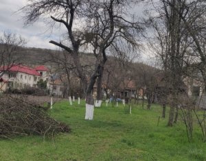 Telek eladó on Baciu