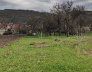 Telek eladó on Baciu