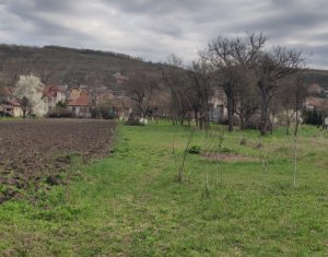 Telek eladó on Baciu