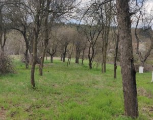 Telek eladó on Baciu