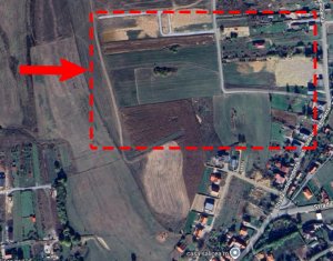 Terrain à vendre dans Salicea