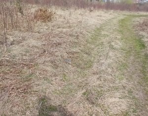 , 600m2 dans Cluj-napoca, zone Buna Ziua