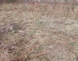 Terrain à vendre dans Cluj-napoca, zone Buna Ziua