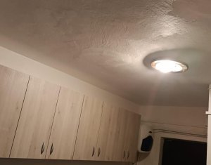 Appartement 1 chambres à vendre dans Cluj-napoca, zone Iris