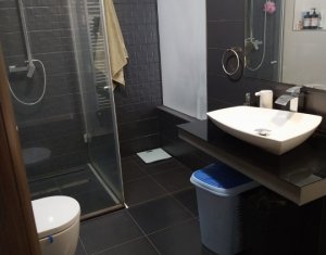Appartement 2 chambres à louer dans Cluj-napoca, zone Borhanci