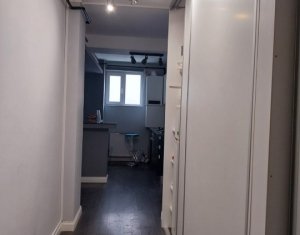 Appartement 2 chambres à louer dans Cluj-napoca, zone Borhanci