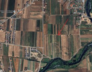Teren 10.000 mp pe malul Somesului Mic - Investitie cu potential ridicat