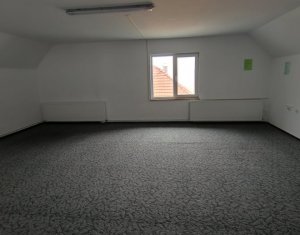 Bureau à louer dans Cluj-napoca, zone Andrei Muresanu