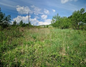 Terrain à vendre dans Feleacu