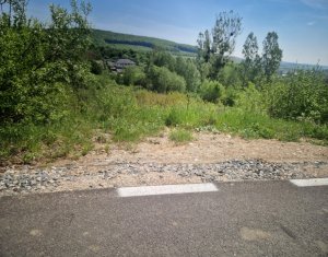 Terrain à vendre dans Feleacu