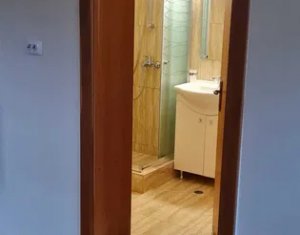 Maison 2 chambres à louer dans Cluj-napoca, zone Andrei Muresanu